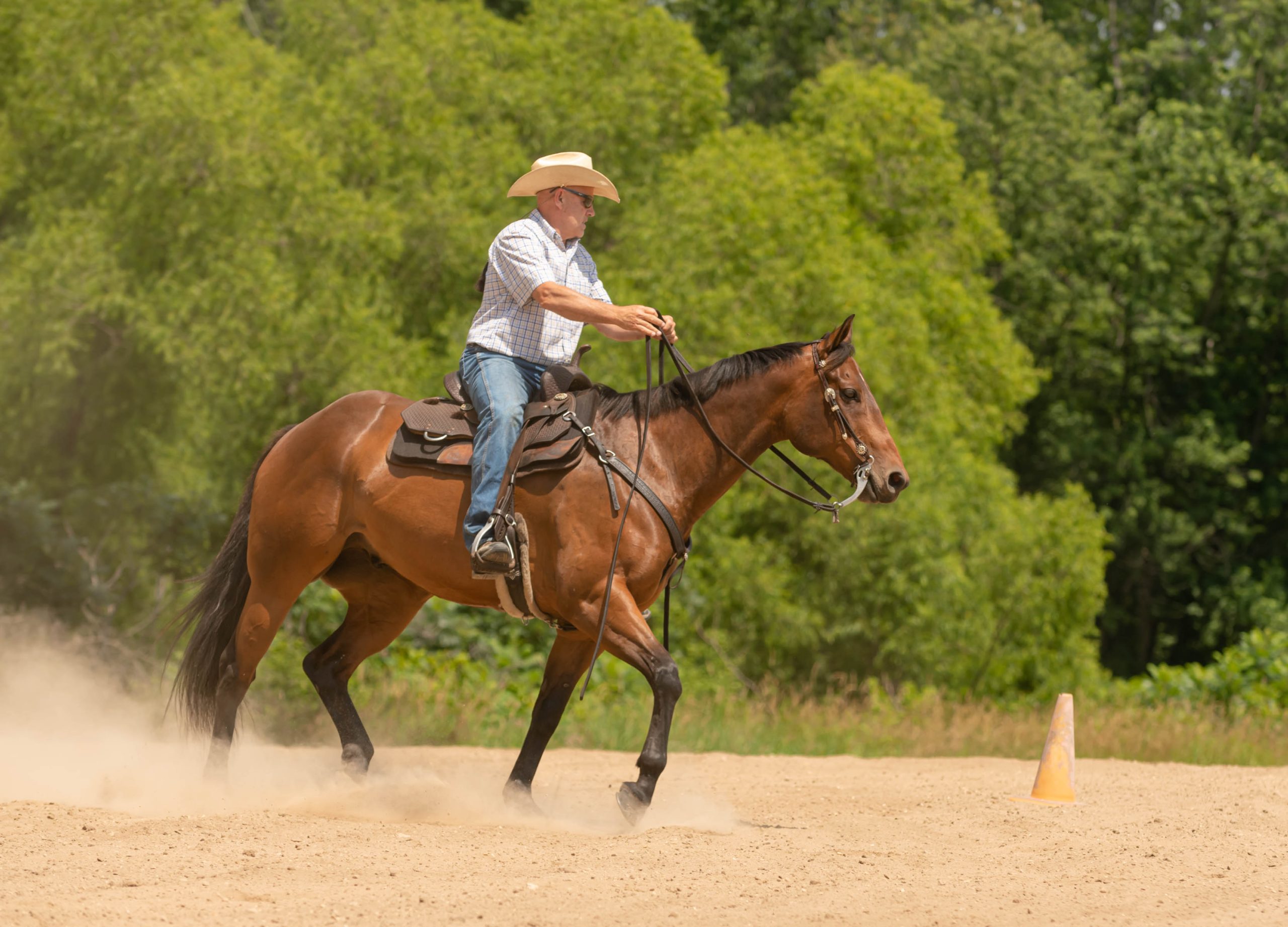 man trots horse for fitness