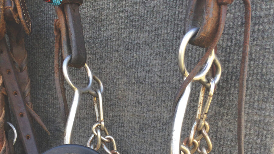 Pozzi Lifter bit hanging on tack room wall