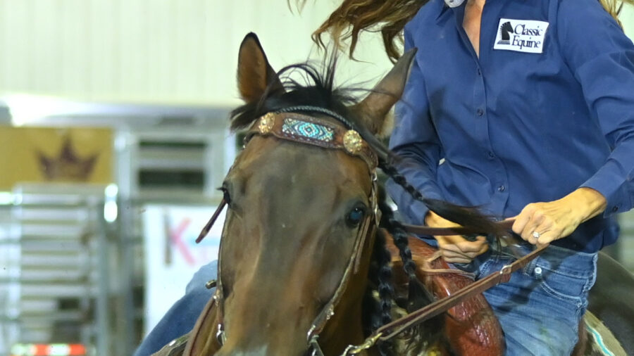 horse turning a barrel