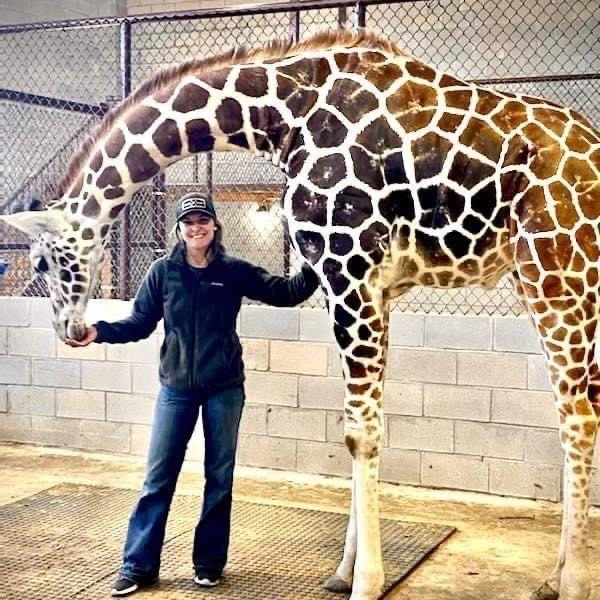 girl standing under giraffe's neck