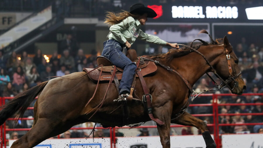 Synergy Pad Barrel Racing