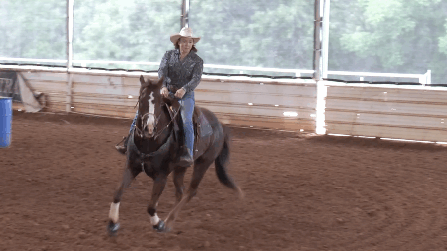 Jyme Beth Powell demonstrates what basics she likes to see in her horses before starting them on the pattern.