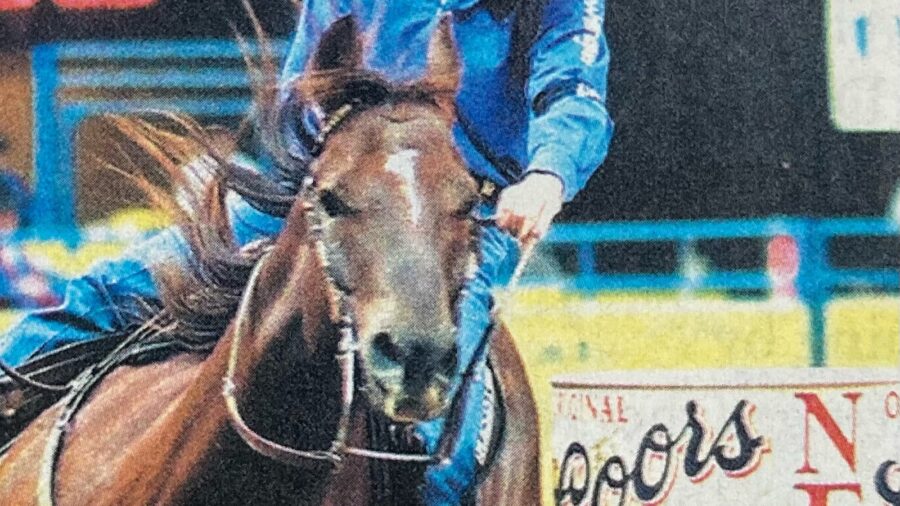 In part one of this two-part series on the danger of quick fixes, we'll talk about some scenarios that can be very detrimental to the horse.