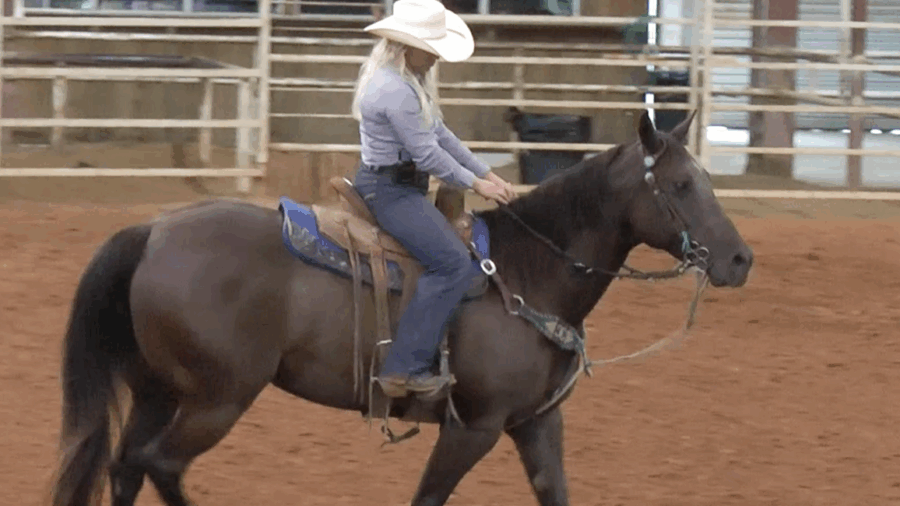 Cierra Nelson discusses how she rides horses aggressively without overriding or interfering with her horses’ styles. 