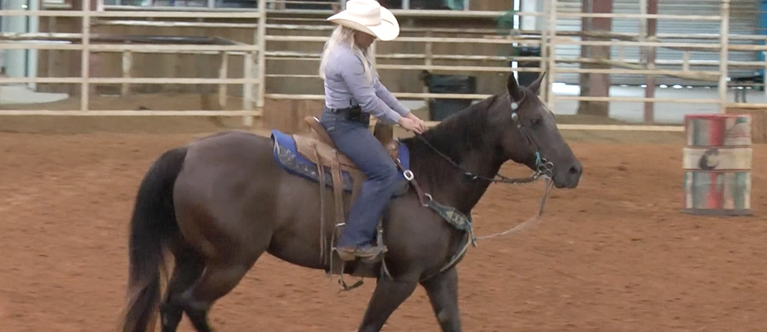 Cierra Nelson discusses how she rides horses aggressively without overriding or interfering with her horses’ styles. 