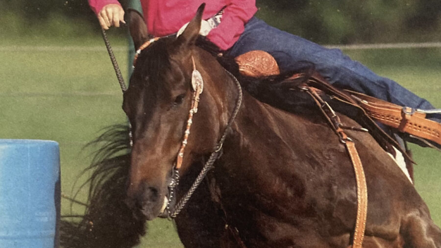 Influenced by her family, Molly Powell uses horsemanship and training techniques designed to develop a horse's trust and longevity.