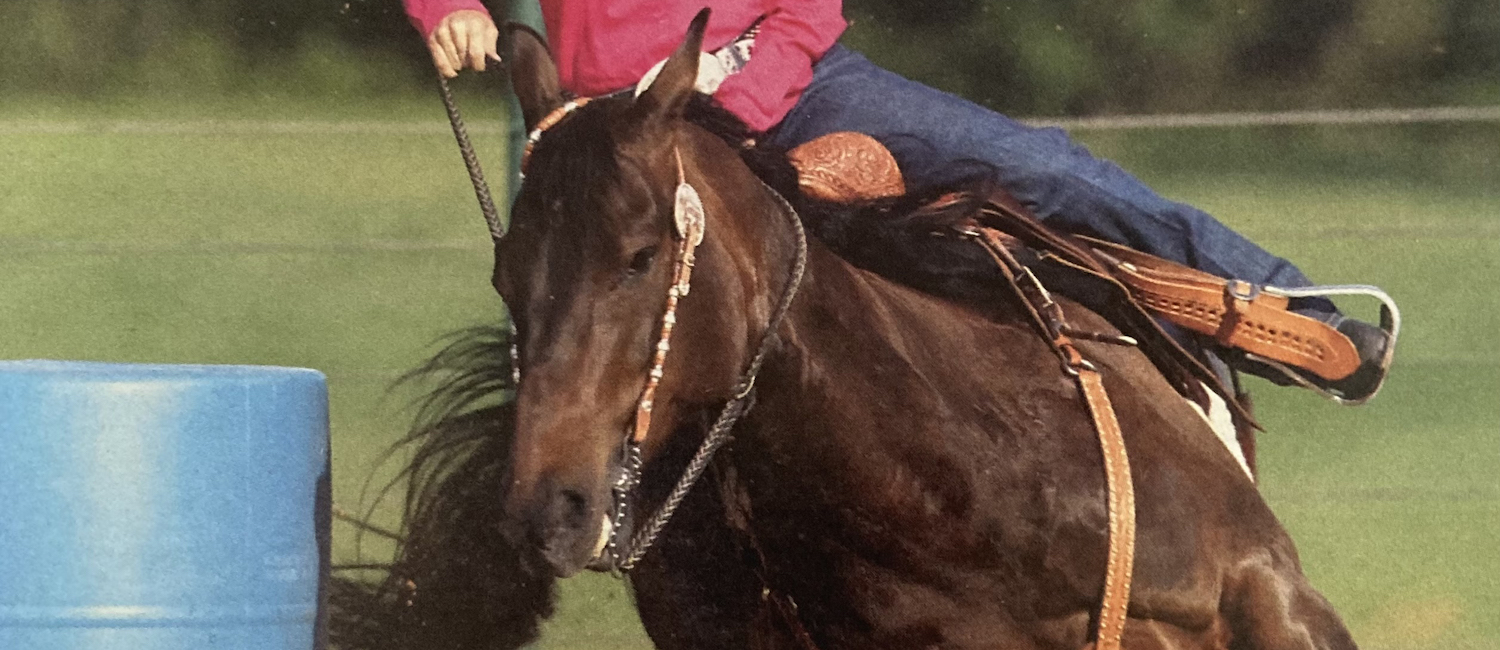 Influenced by her family, Molly Powell uses horsemanship and training techniques designed to develop a horse's trust and longevity.