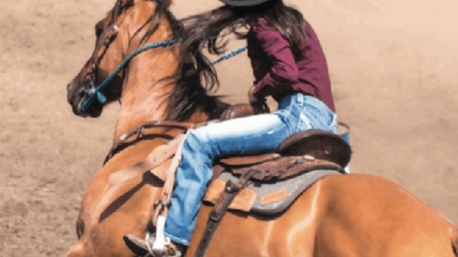 A winning horse is a healthy horse, select BHN advertisers in the Horse Health and Nutrition Guide have got you covered.