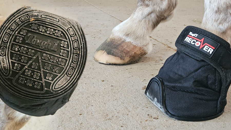 Recover boot