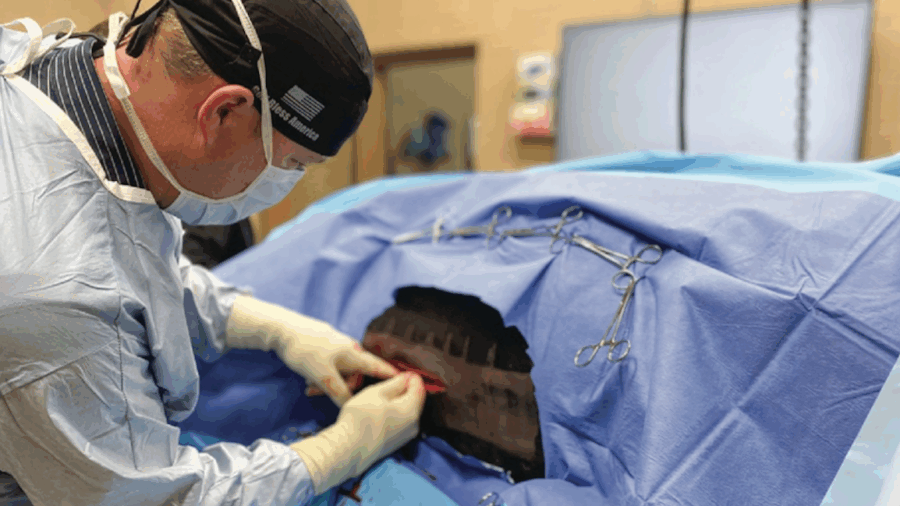 What is kissing spines, and what does this common condition mean for your horse? Dr. Josh Harvey, DVM explains.
