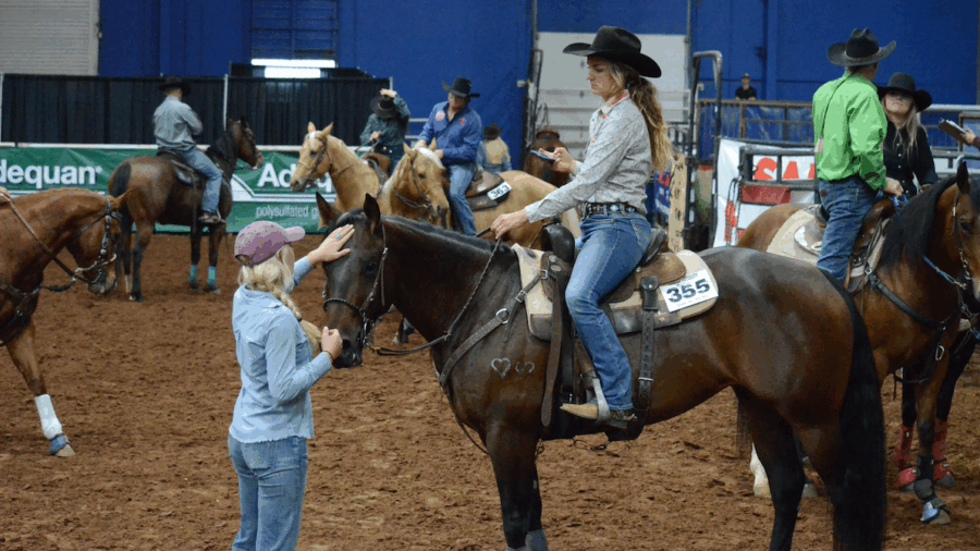 intern talking to futurity trainer
