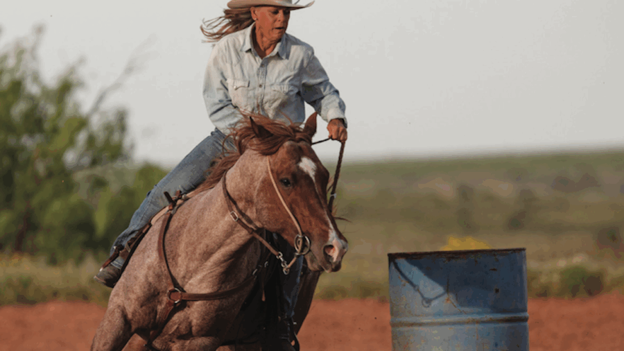 Dena Kirkpatrick builds softness, footwork and correct body position in her horses through a pole exercise.
