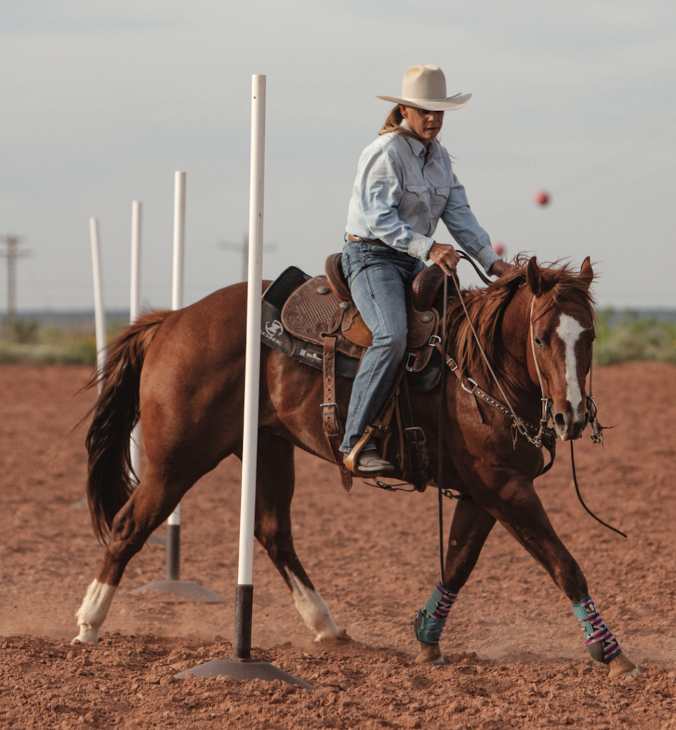 Dena Kirkpatrick builds softness, footwork and correct body position in her horses through a pole exercise.