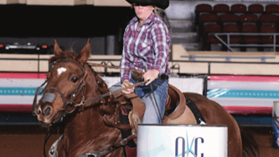 Keeping your horse free from soreness is crucial—here’s how to do it within your budget, while also staying fiscally sound.