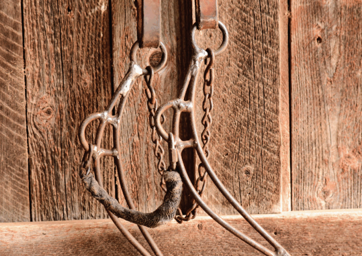 Burris hackamore