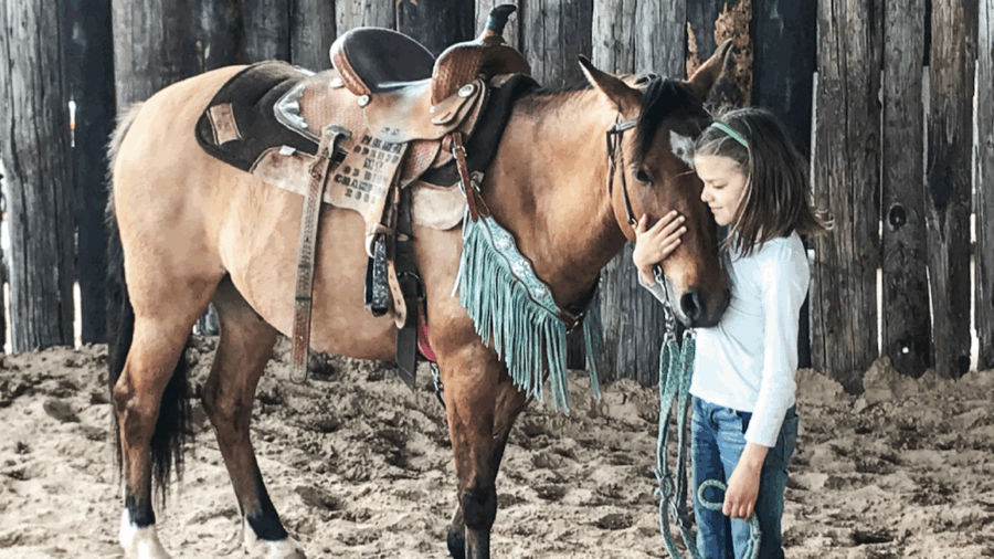 Galiceño horses are small, but what they lack in size they make up for with their great minds and huge hearts.