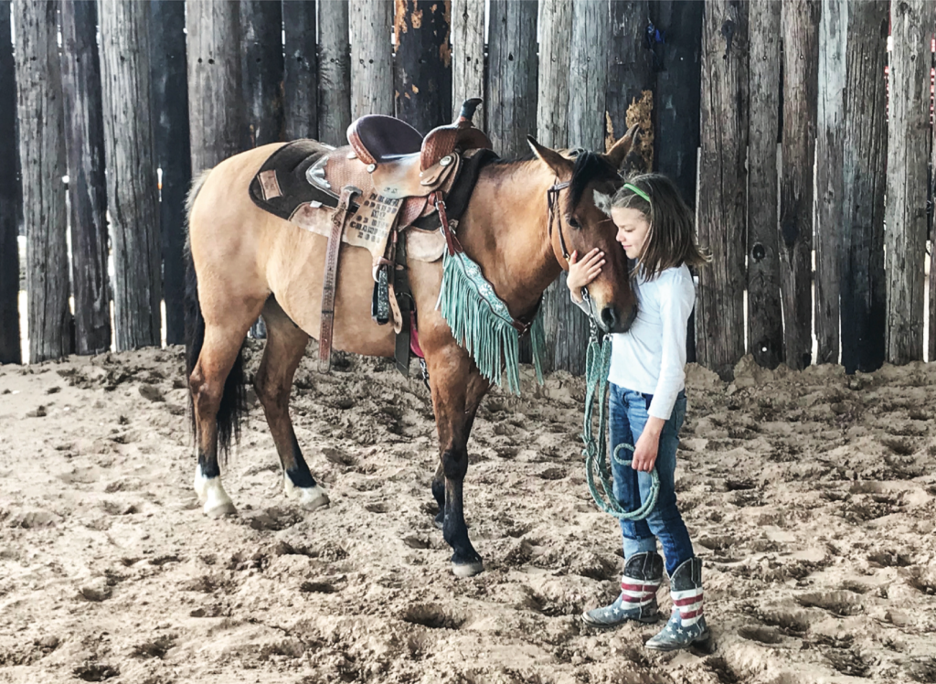 Galiceño horses are small, but what they lack in size they make up for with their great minds and huge hearts.