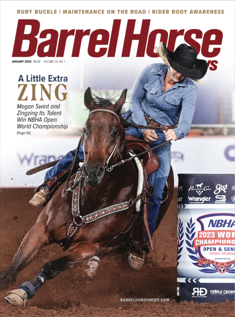 The January Stallion Issue dives into how outcrosses can impact genetics, and you’ll also learn how to DIY a stallion photo shoot.
