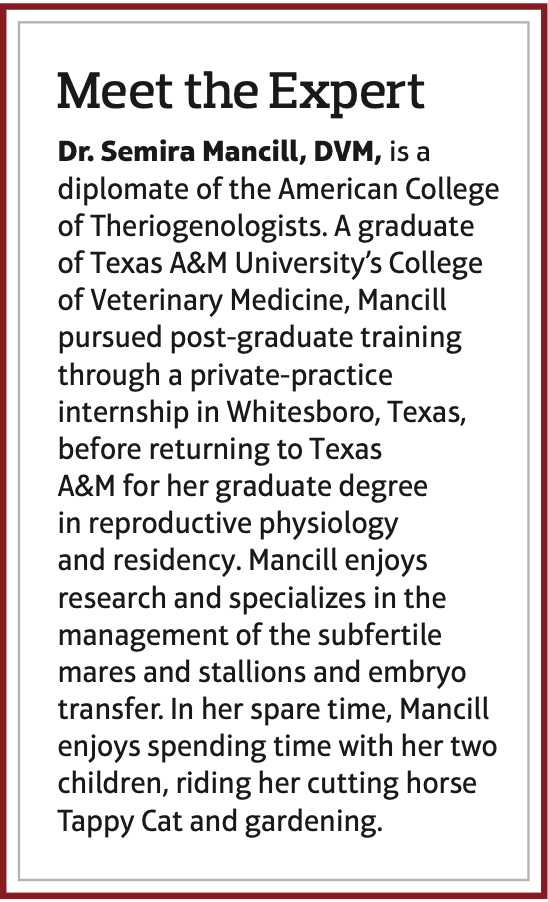 Certain medicines that influence behavior, like regumate and phenothiazines can have harmful effects on a stallion’s ability to breed.