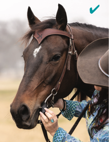 Correct tack fit not only ensures your horse’s comfort, it can also improve their performance. Two tack experts share fit tips.