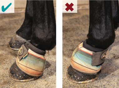 Correct tack fit not only ensures your horse’s comfort, it can also improve their performance. Two tack experts share fit tips.