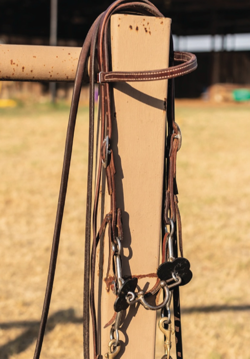 Fine-tune your horse with this whole-arena rate drill from trainer Josianne St-Cyr to get them to listen to your body more.