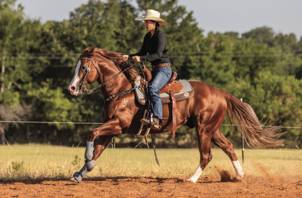Fine-tune your horse with this whole-arena rate drill from trainer Josianne St-Cyr to get them to listen to your body more.