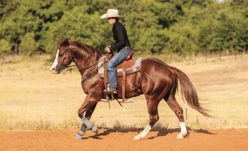 Fine-tune your horse with this whole-arena rate drill from trainer Josianne St-Cyr to get them to listen to your body more.