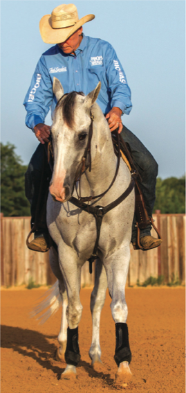 Sharpen your horse’s body control with this deceptively simple "perfect circle" drill from trainer Ron Ralls. 