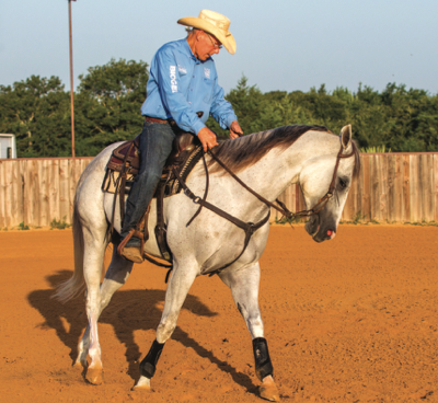 How do I ride inside leg to outside rein?, Equestrian Writer