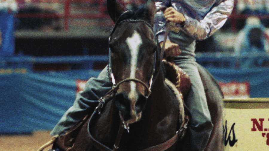 Meet the great horse that inspired the Scoti Flit Bar Rising Star Award and his rider who was devoted to honoring his memory.