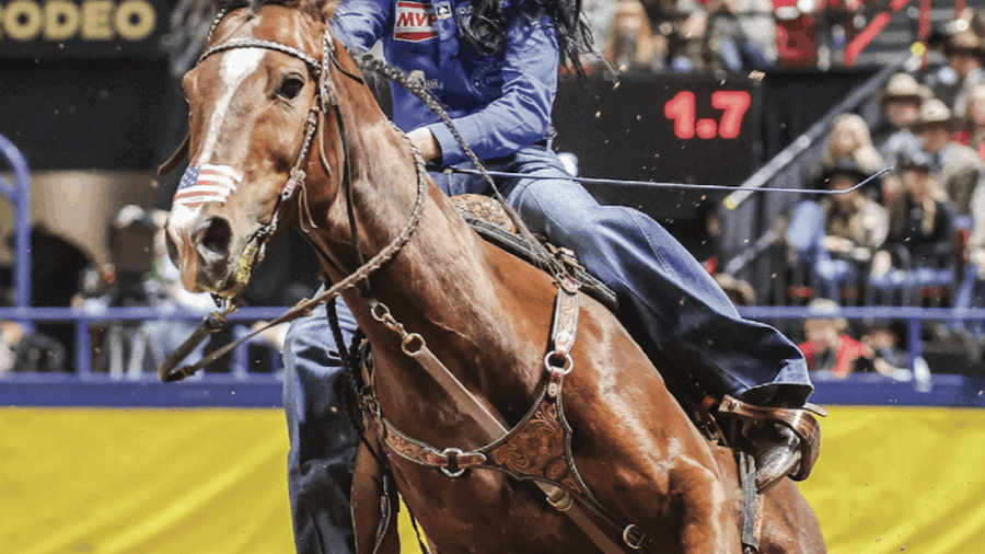 In the March Arena Record, editor Kailey Sullins reviews the horse, rider, owner, breeder, sire and dam statistics featured in the issue.