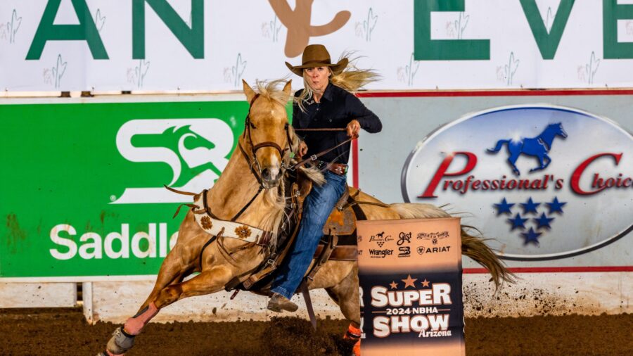 barrel racing palomino horse