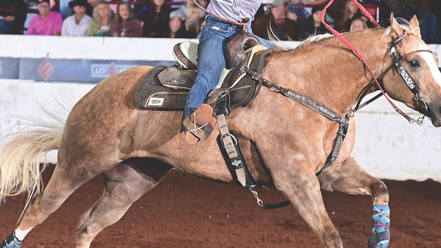 The cream of the crop rose to the top at the 37th annual BFA World Championships in Guthrie, Oklahoma, from November 11–18, 2023.