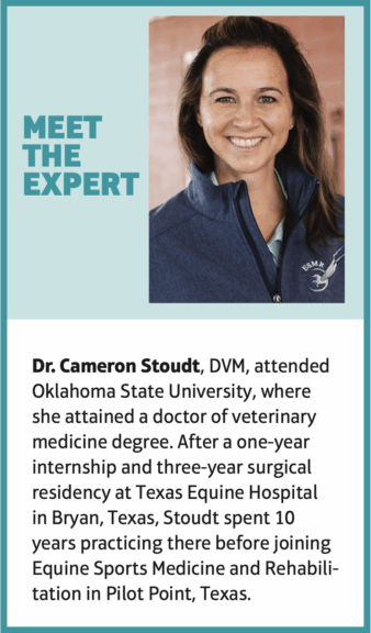 Dr Cameron Stoudt biography