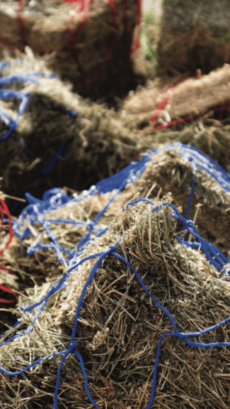 hay inside of a net