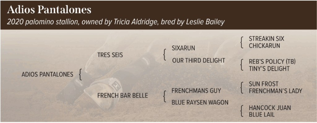 Tricia Aldridge and Jodee Miller top a talented field of aged-event competitors at the Elite Extravaganza.