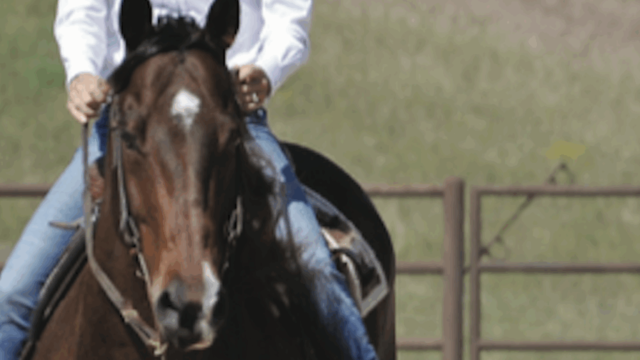 Charmayne James discusses learning to ride correctly through the turns will help your horse finish strong.