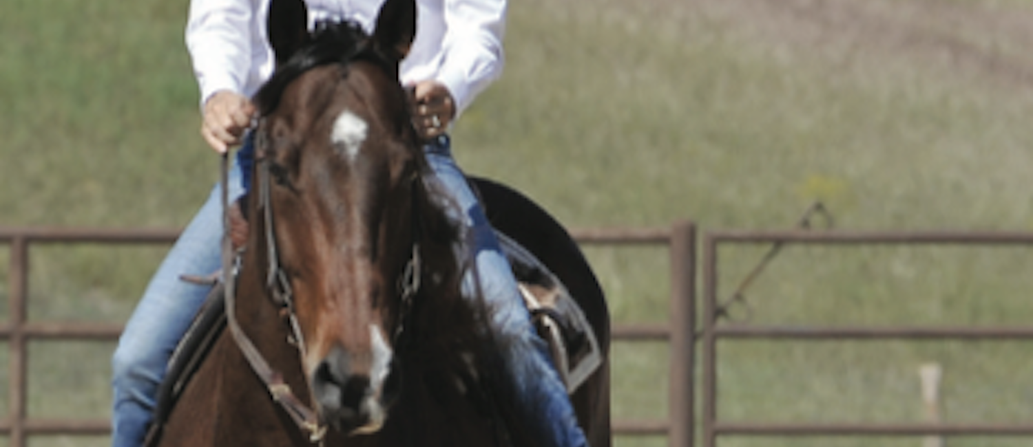 Charmayne James discusses learning to ride correctly through the turns will help your horse finish strong.
