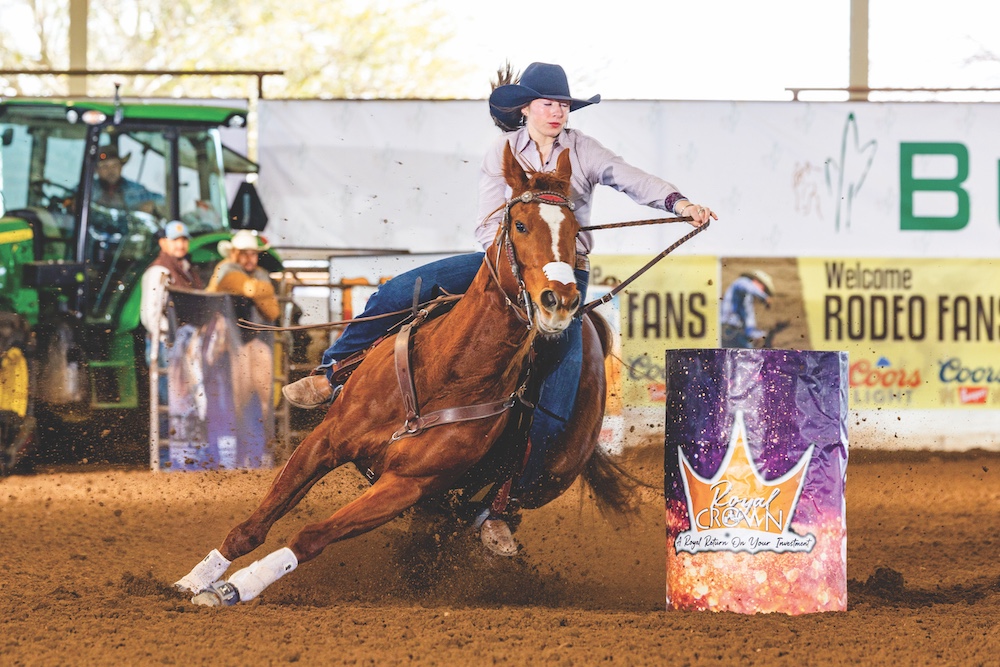 French Bar Belle made her mark as a producer at the 2024 Royal Crown event, with two horses out of the mare winning championships.