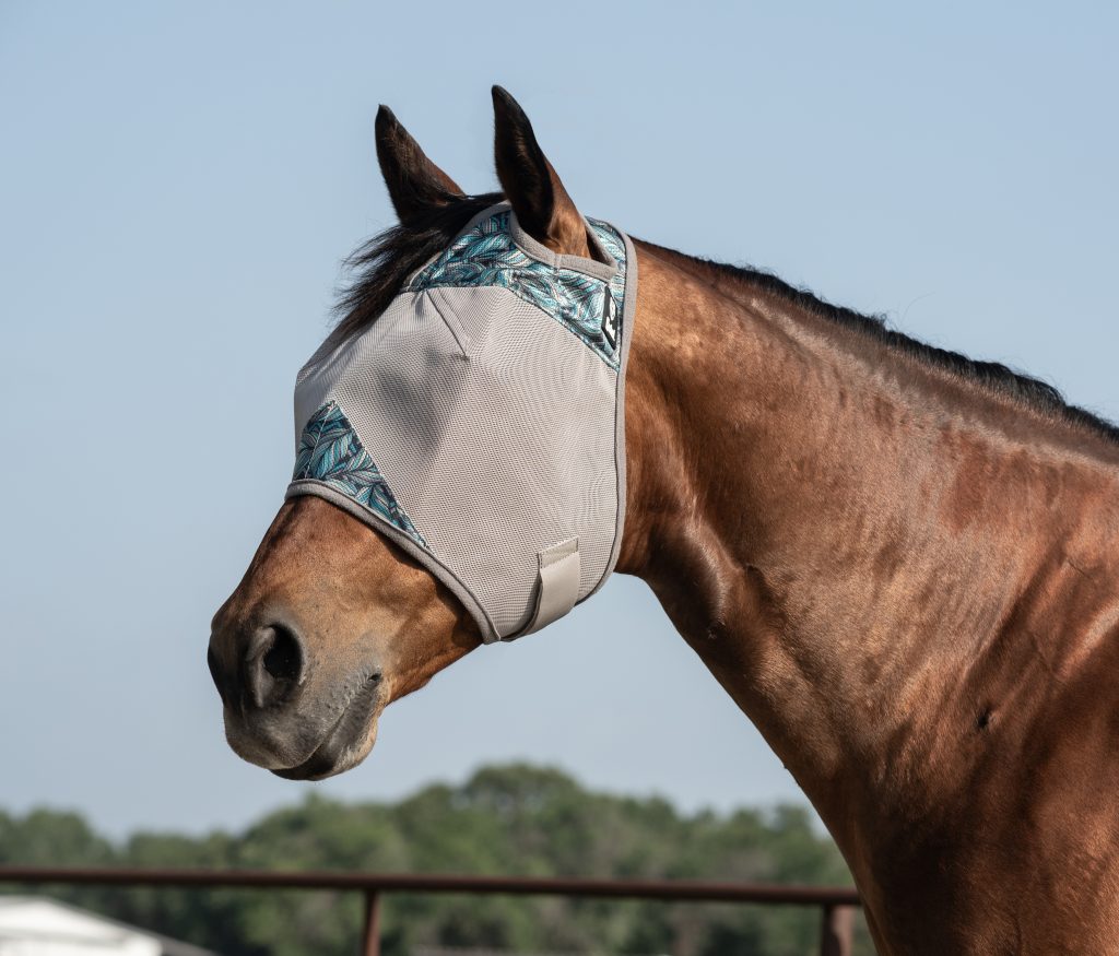 Bay horse wearing a Cashel fly mask.