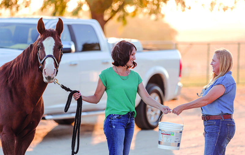 Horse and rider being handed Platinum