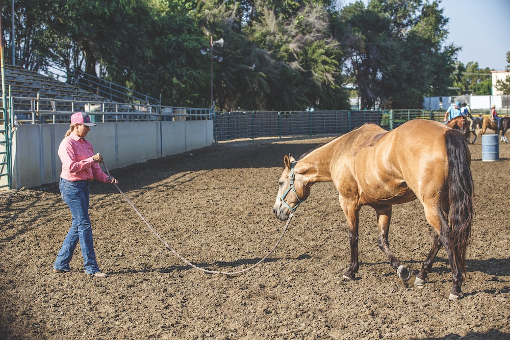 A girl lunging her horse in an outside pen.