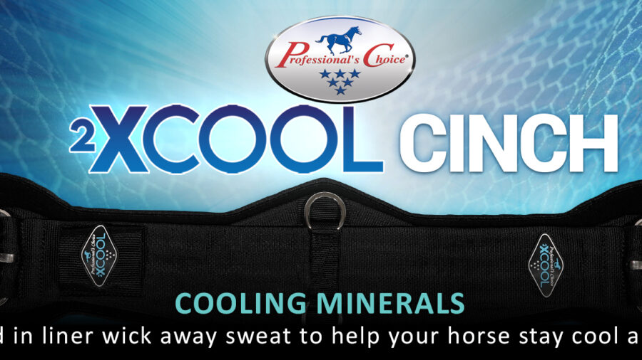 Professionals Choice new cooling cinch