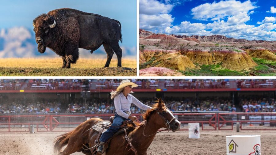 Rodeos and Roadtrips