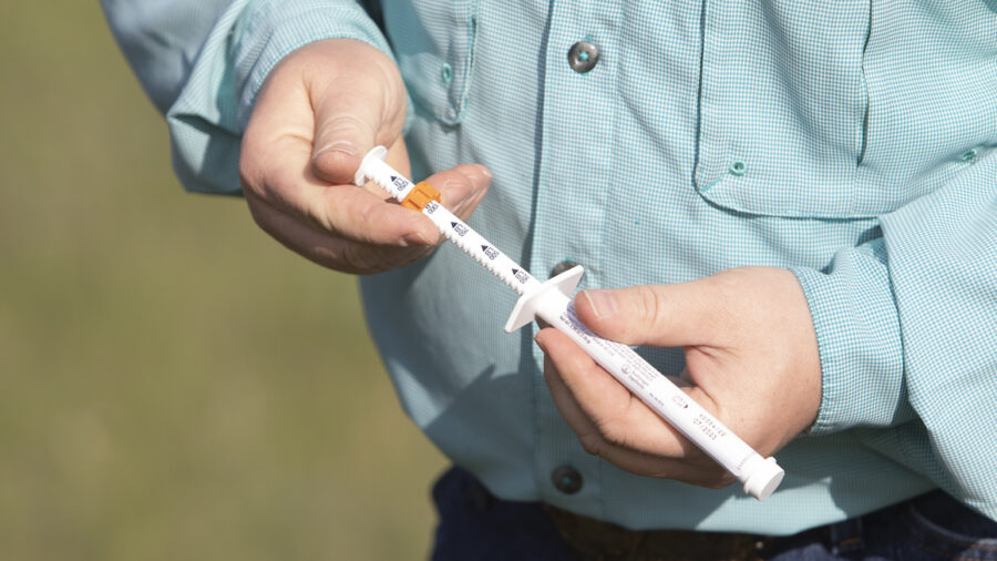 equine dewormer