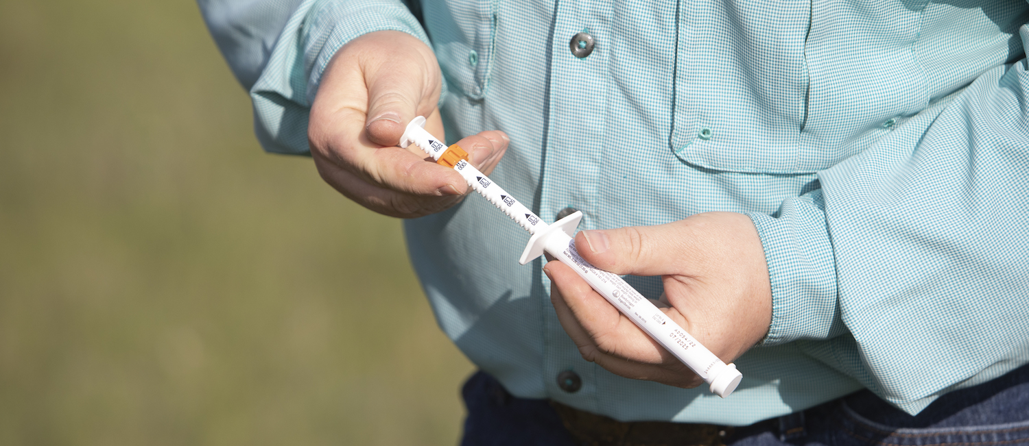 equine dewormer
