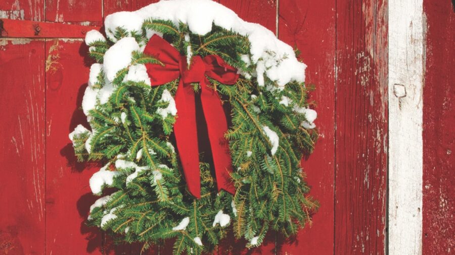 Wreath with snow and a red bow on a red wooden door