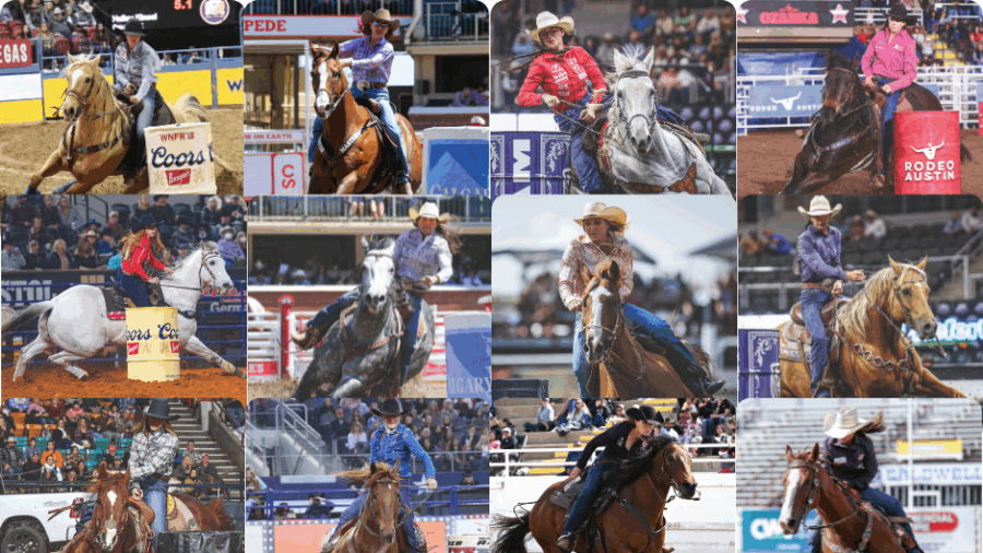 2024 NFR horses