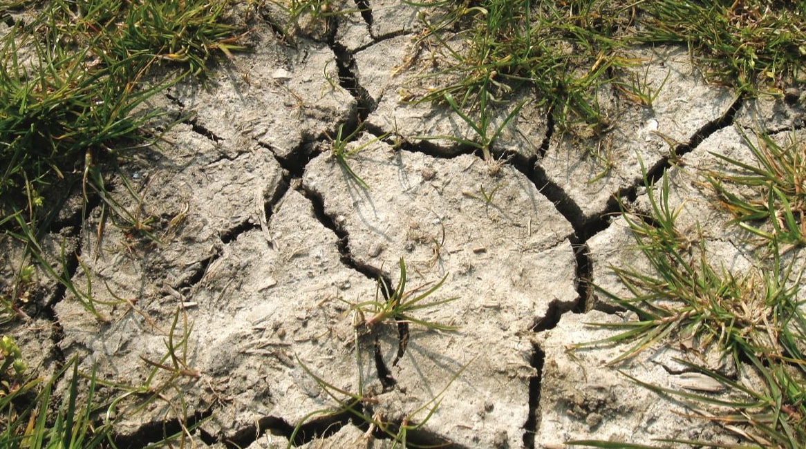 Image of the ground during a drought with cracks in the ground